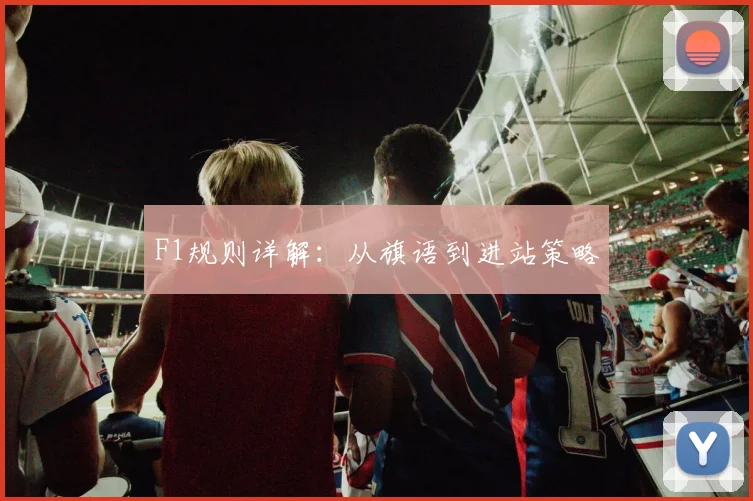 F1规则详解:从旗语到进站策略