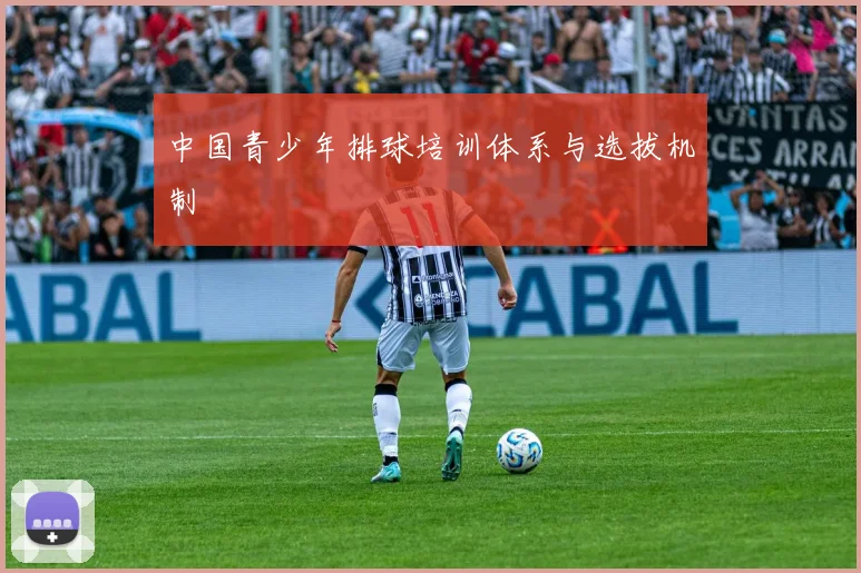 中国青少年排球培训体系与选拔机制