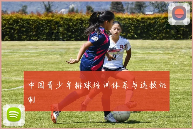 中国青少年排球培训体系与选拔机制